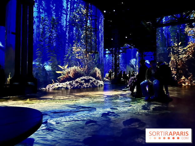 Océans, l'Odyssée Immersive à l'Atelier des Lumières - IMG 6173
