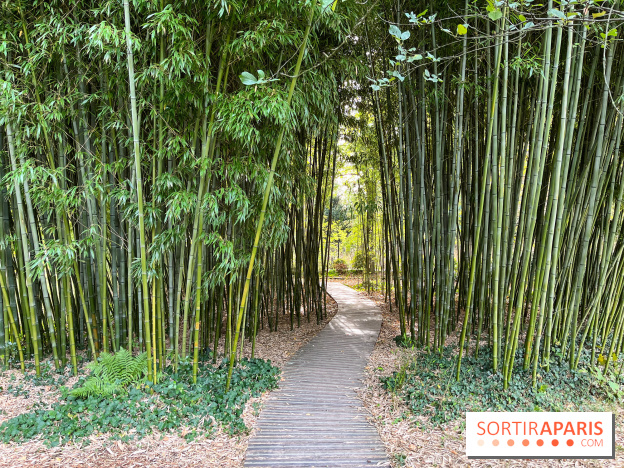Le parc de l'Île Verte à Chatenay-Malabry - nos photos - image00542
