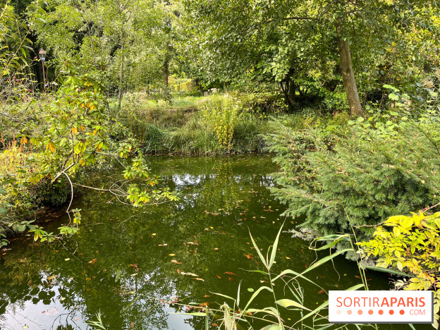 Le parc de l'Île Verte à Chatenay-Malabry - nos photos - image00517