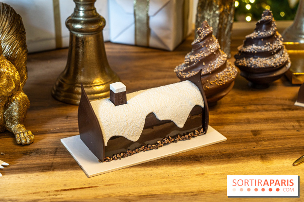 Bûches de Noël 2023 et galette 2024 de Lenôtre - A7C0848
