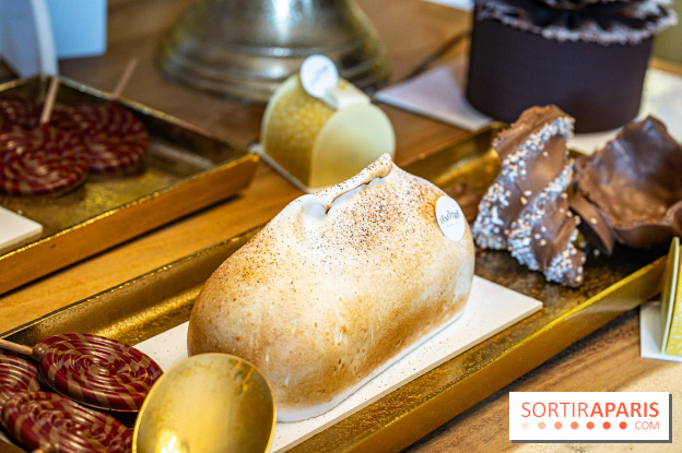 Bûches de Noël 2023 et galette 2024 de Lenôtre - A7C0873