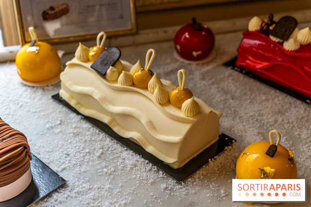 Bûche de Noël d'Angelina 2023 - A7C0402