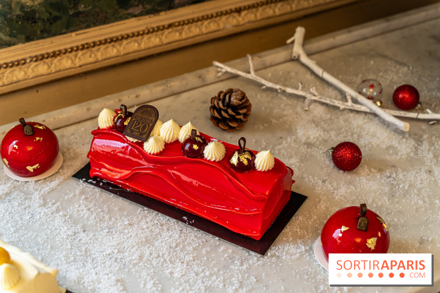 Bûche de Noël d'Angelina 2023 - A7C0403