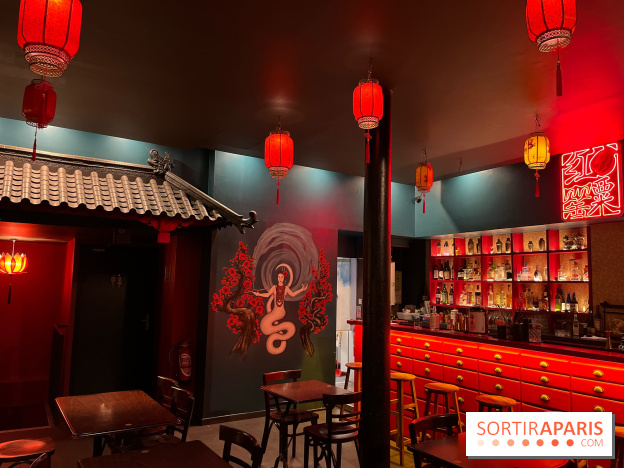 Red Poppy - IMG 6235