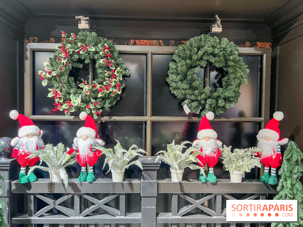 Un Noël Magique à So Ouest - IMG 8350