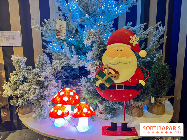 Un Noël Magique à So Ouest