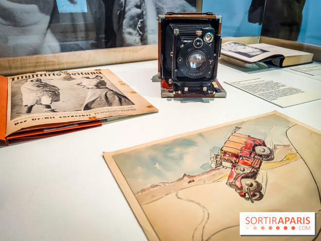 Préhistomania au Musée de l'Homme : l'exposition événement autour de l'art rupestre - nos photos - IMG20231115101004