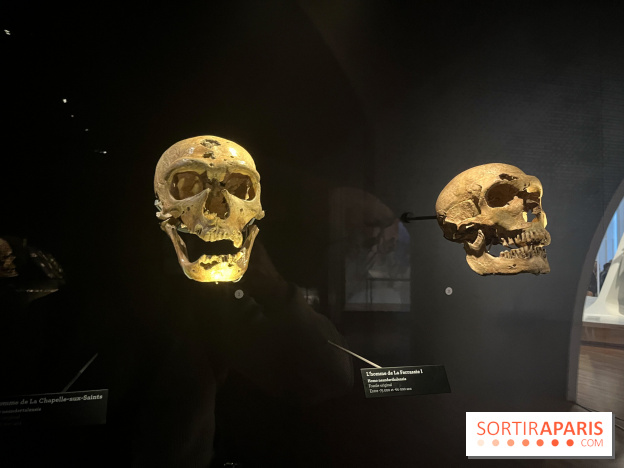 Le musée de l'Homme - collections permanentes