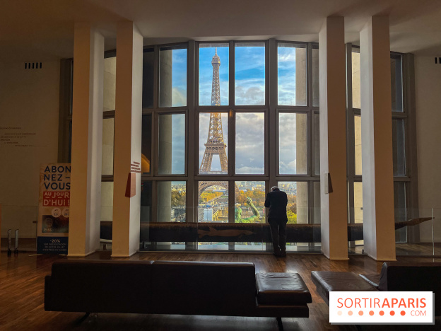 Le musée de l'Homme - collections permanentes - image00028