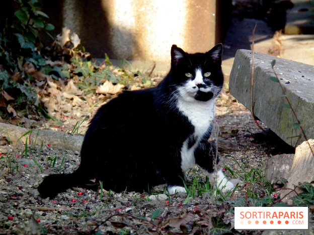 Le Père Lachaise, le cimetière le plus mythique de Paris et ses tombes de personnalités célèbres
