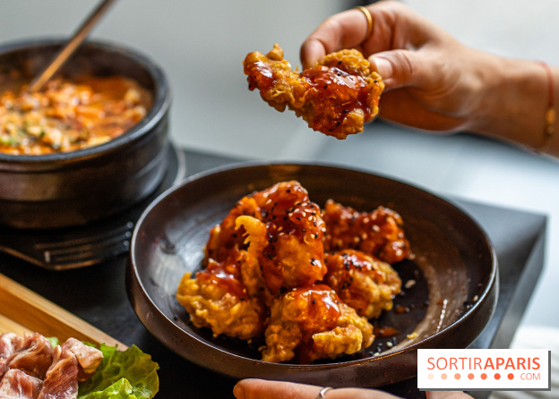 Jjin, le restaurant barbecue coréen de Montparnasse à Paris aux bonnes viandes - A7C0126