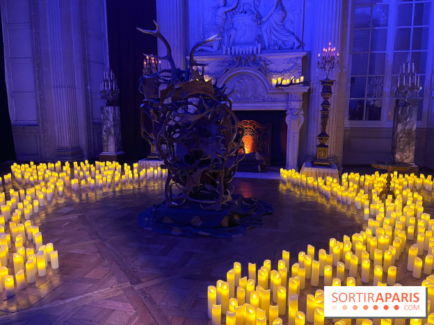 La Belle et la Bête, le spectacle au château de Maisons-Laffitte - nos photos