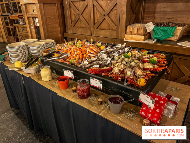 Réveillon de Noël et du Nouvel an à la Cité Suspendue du Parc Astérix - IMG 4733