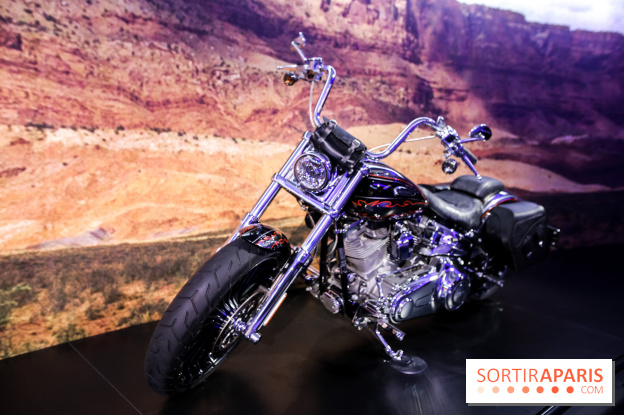 Johnny Hallyday, nos photos de l'expo à Paris - IMG 2059