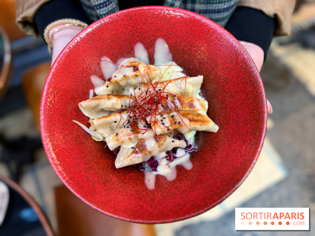 Gyoza Bar - Gyozas porc