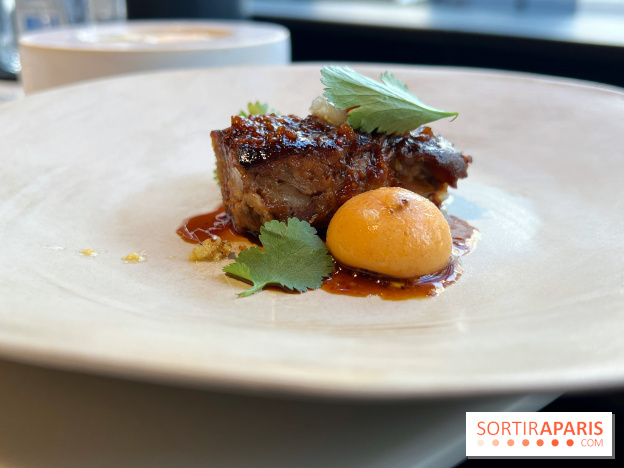 Vaisseau d'Adrien Cachot - Cochon de lait