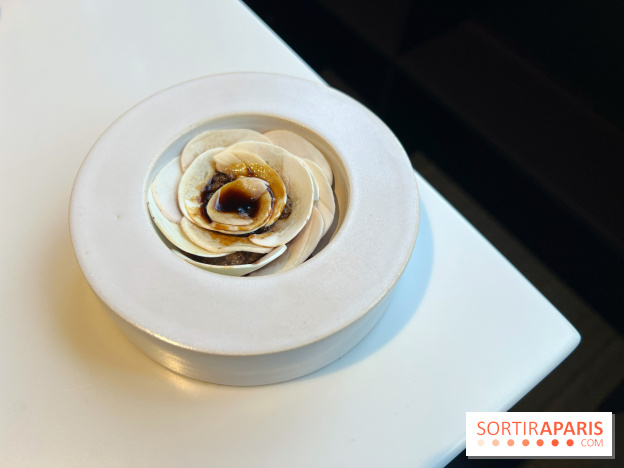 Vaisseau d'Adrien Cachot - Champignons