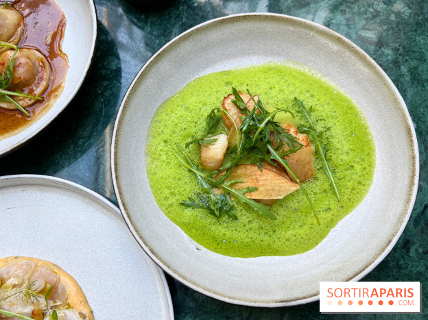 Halo de Victor Blanchet - Saint-Jacques grillées