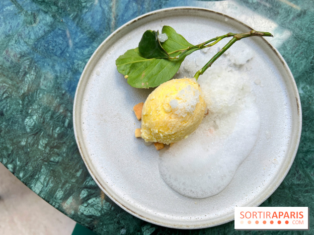 Halo de Victor Blanchet - Citron réaliste