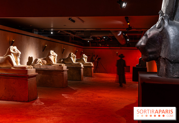 Toutankhamon, l'expérience immersive Pharaonique - les photos - A7C4305