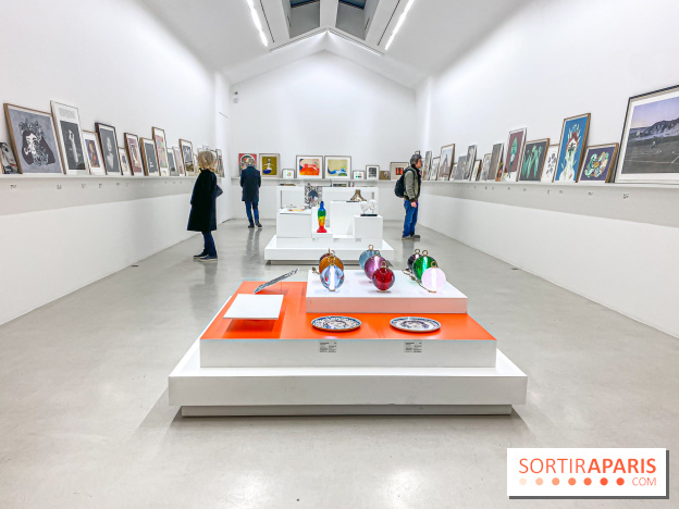 Exposition Perrotin Editions : Tous Collectionneurs ! à la galerie Perrotin - IMG 4265