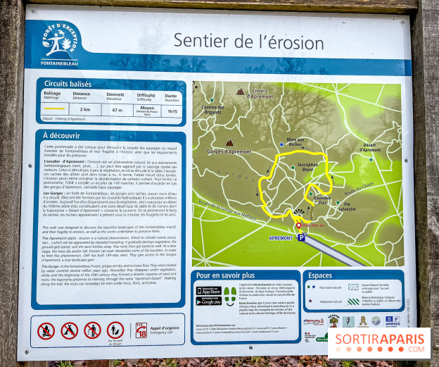 Le sentier de l'érosion à Fontainebleau - balade en forêt