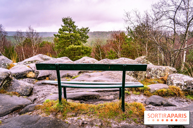 Le sentier de l'érosion à Fontainebleau - balade en forêt -  A7C4566