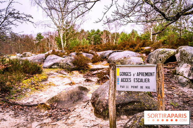 Le sentier de l'érosion à Fontainebleau - balade en forêt