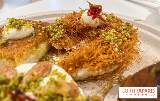 Maison Hallab - nos photos - image00013