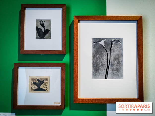 Tina Modotti : l'exposition photo rétrospective au Jeu de Paume - nos photos