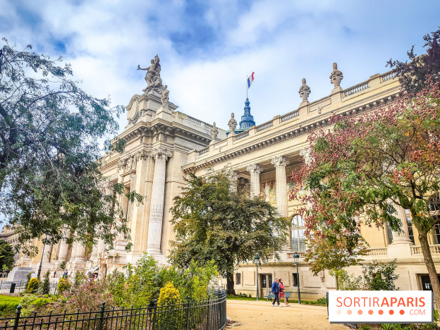 Visuel Paris 8e - Grand Palais