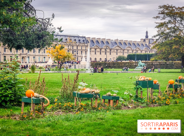 Visuel Paris 1er - jardin des Tuileries automne 