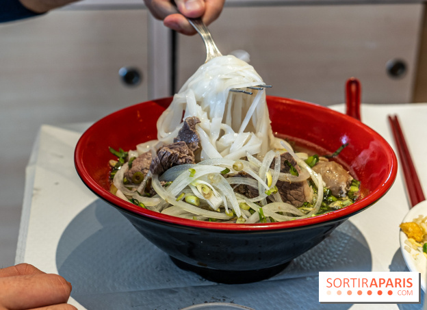 New Hao Khoan, le restaurant chinois et vietnamien, valeur sûre du 13e - Pho