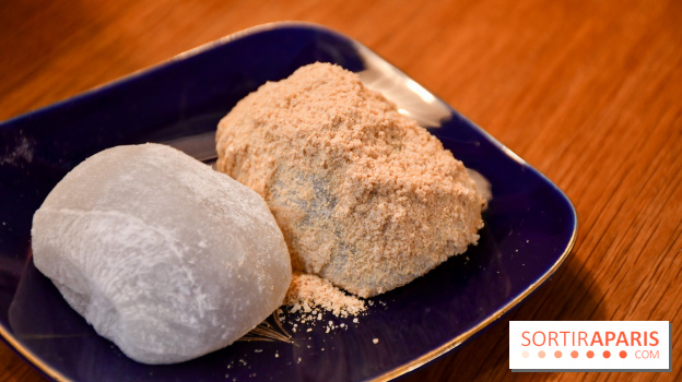 Zakuro, le restaurant authentique pour une cuisine japonaise réconfortante à Paris - DSC 0481