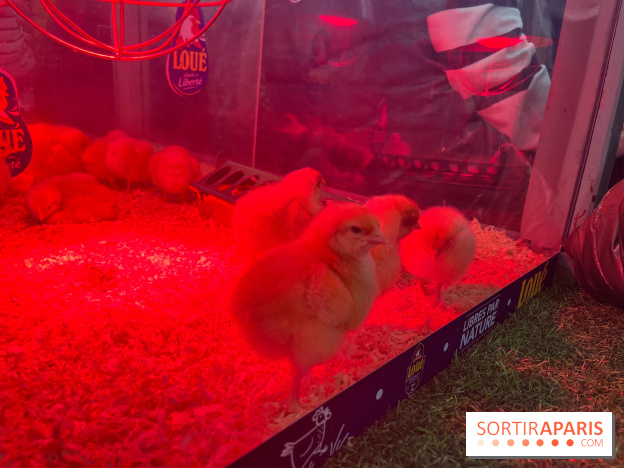 Salon de l'agriculture 2024