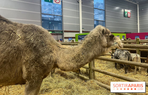 Salon de l'agriculture 2024 - image00004