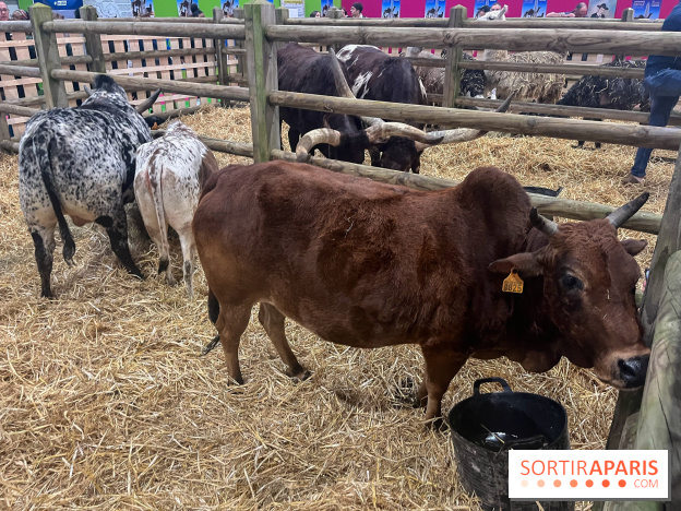 Salon de l'agriculture 2024
