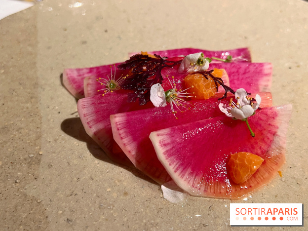 Datil - Radis, Saint-Jacques, ail