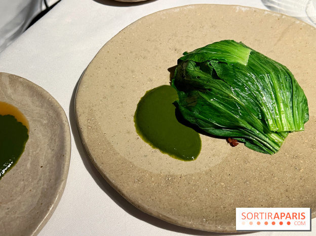 Datil - Autour du pakchoï