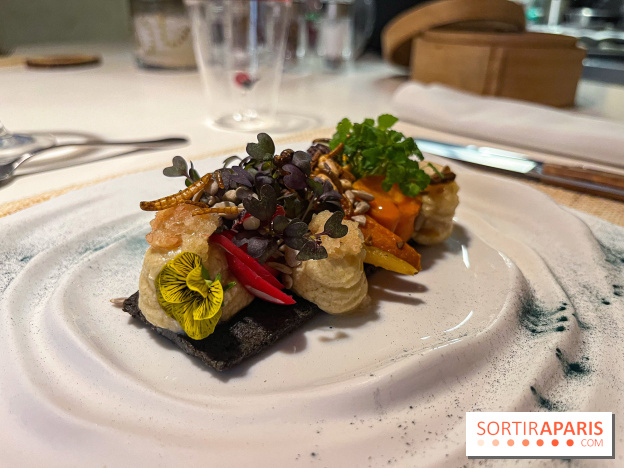 Inoveat, le restaurant gastronomique d'insectes à Paris - nos photos - image00017