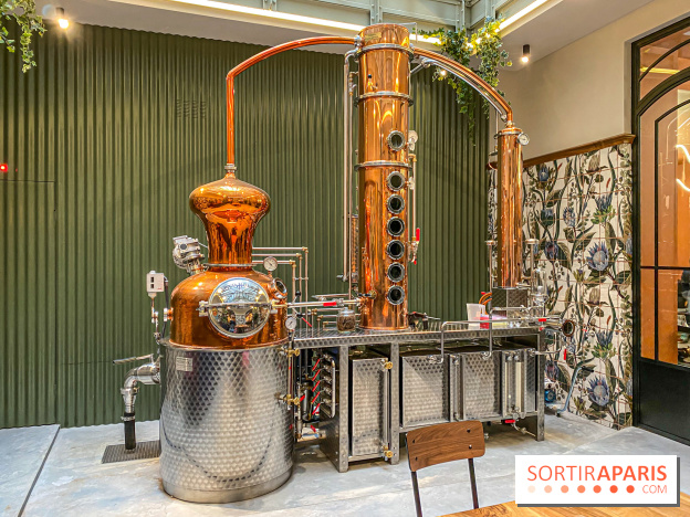 La Distillerie de l’Arbre Sec : l'atelier de création de gin à deux pas du Louvre