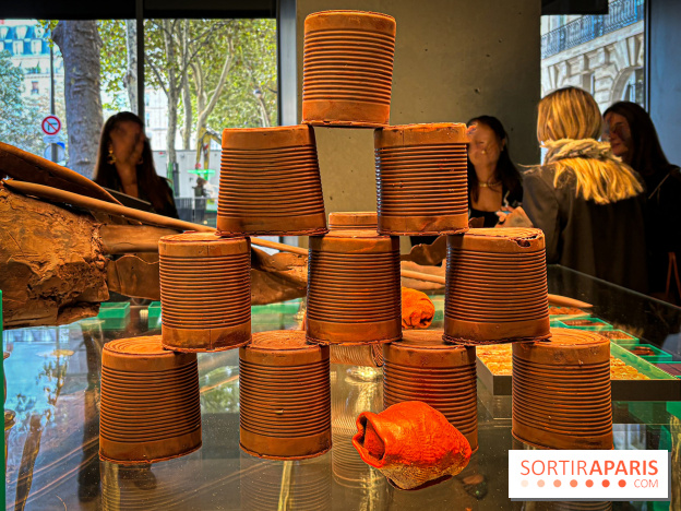 La Buche et les chocolats de Noël 2024 du MOF Patrick Roger