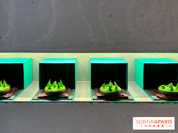 La Buche et les chocolats de Noël 2024 du MOF Patrick Roger