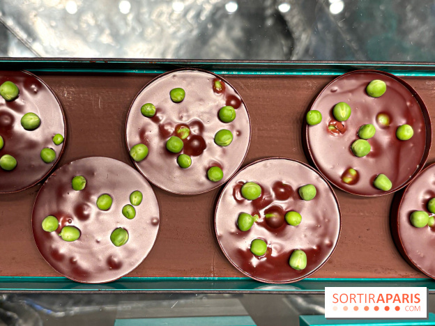 La Buche et les chocolats de Noël 2024 du MOF Patrick Roger