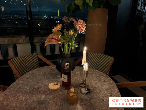  Terraza Eminente : la culture cubaine s'invite sur le rooftop du Terrass''Hôtel