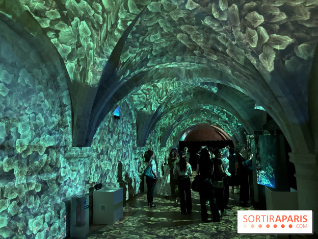 Le Mystère Mozart : un parcours immersif au Collège des Bernardins 