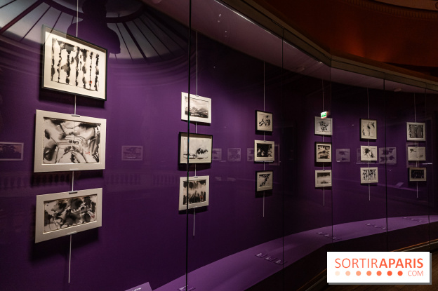 Exposition T'ang Haywen au Musée Guimet à Paris -  A7C8067