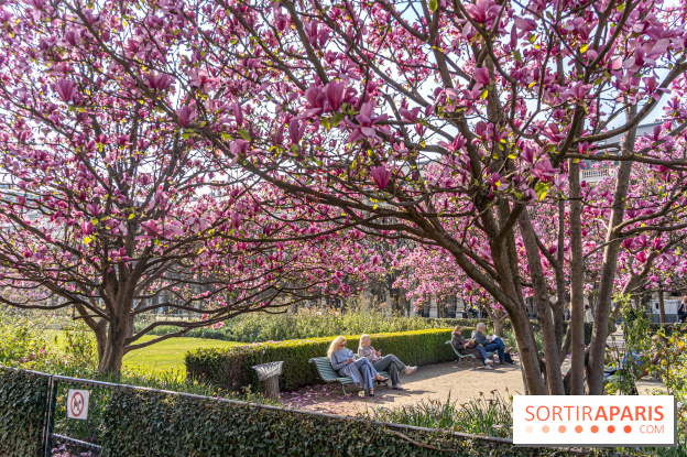 Les magnolias du Jardin du Palais Royal  - printemps - visuel Paris