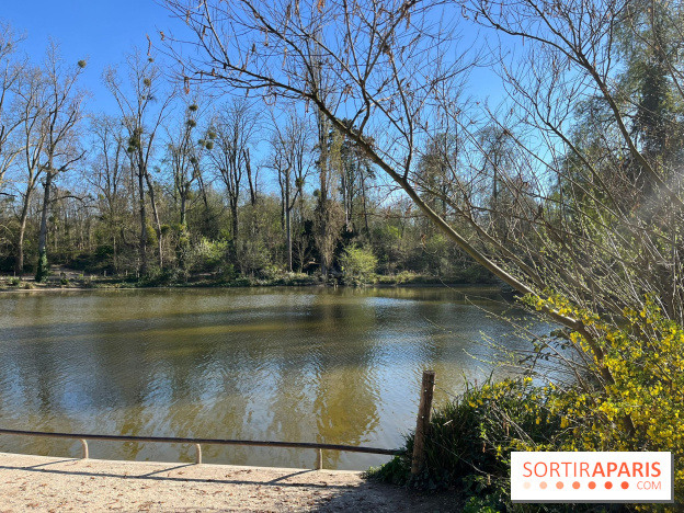 Lac de Saint-Mandé - nos photos - WhatsApp Image 2024 03 22 à 16.12.09 927d444d