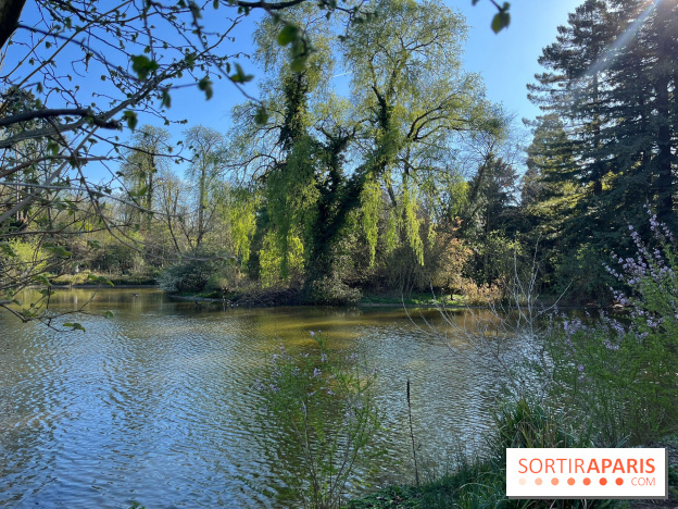 Lac de Saint-Mandé - nos photos - WhatsApp Image 2024 03 22 à 16.12.39 4c5a0a5e